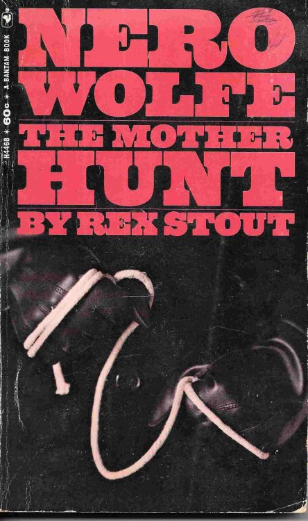Image for The Mother Hunt The Mother Hunt