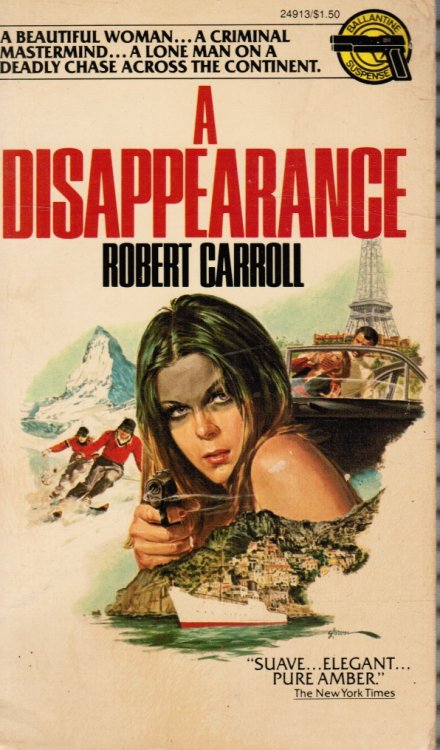 Image for A Disappearance A Disappearance