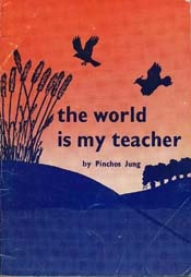 The World is My Teacher: an Imaginative, Refreshing Application of Torah Thinking to Modern Life for all Who Are Young in Spirit