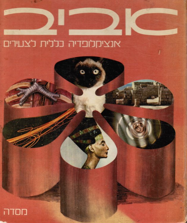 Image for Aviv : Entsiklopedia Kelalit Li-Tse-Irim Aviv : Entsiklopedia Kelalit Li-Tse-Irim