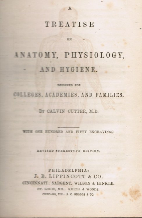 Image for A Treatise on Anatomy, Physiology, and Hygiene A Treatise on Anatomy, Physiology, and Hygiene
