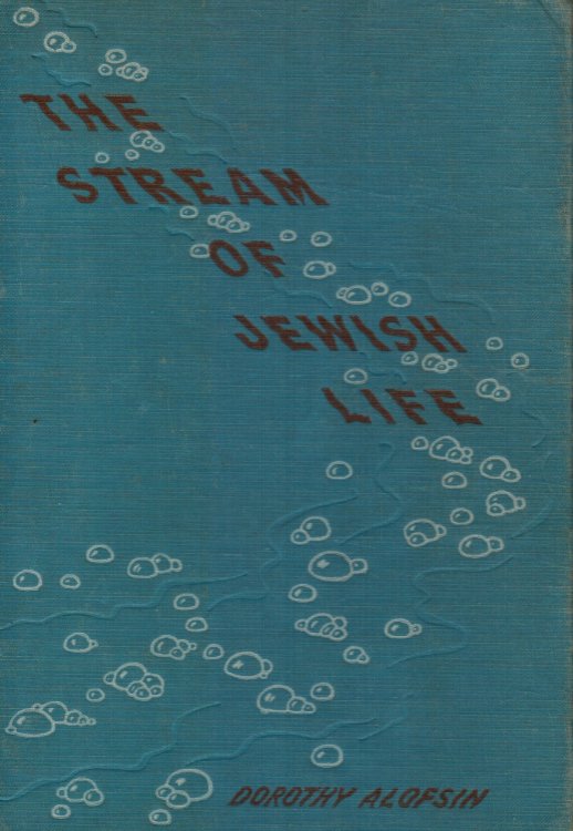Image for The Stream of Jewish Life The Stream of Jewish Life
