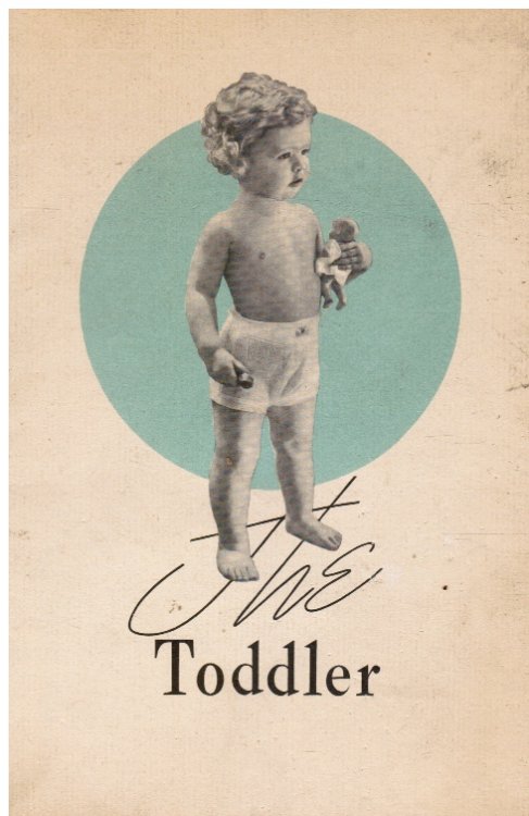 The Toddler: a Book for Parents
