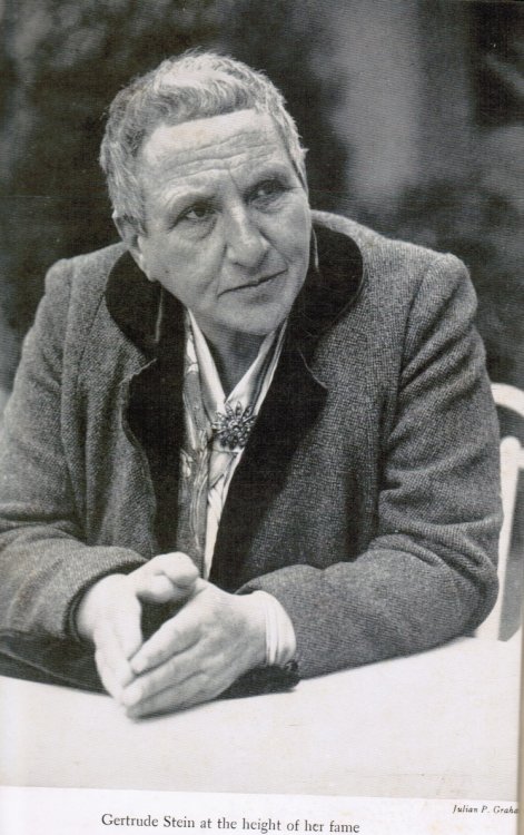 Image for The Third Rose: Gertrude Stein and Her World The Third Rose: Gertrude Stein and Her World