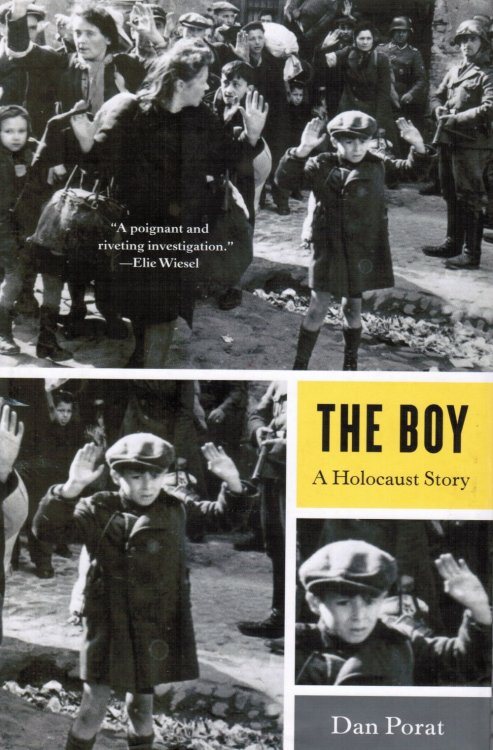 Image for The Boy: a Holocaust Story The Boy: a Holocaust Story