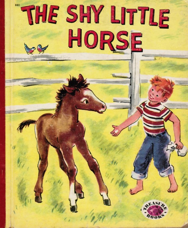 Image for The Shy Little Horse The Shy Little Horse