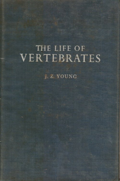 Image for The Life of Vertebrates The Life of Vertebrates