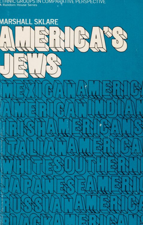 Image for America's Jews America's Jews