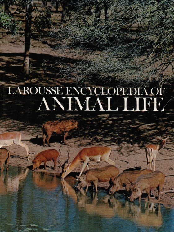 Image for Larousse Encyclopedia of Animal Life Larousse Encyclopedia of Animal Life