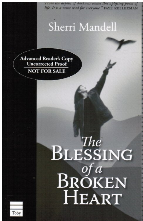 Image for The Blessing of a Broken Heart The Blessing of a Broken Heart