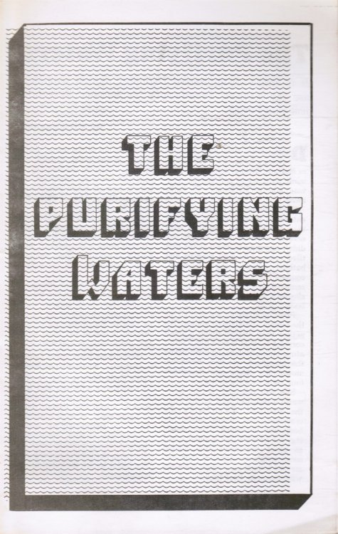 Image for The Purifying Waters The Purifying Waters