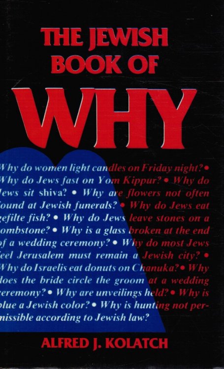 Image for The Jewish Book of Why The Jewish Book of Why