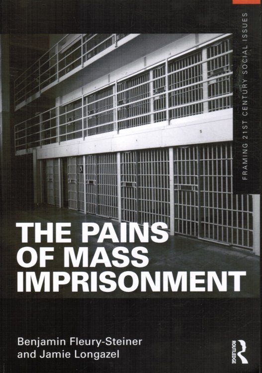 Image for The Pains of Mass Imprisonment The Pains of Mass Imprisonment