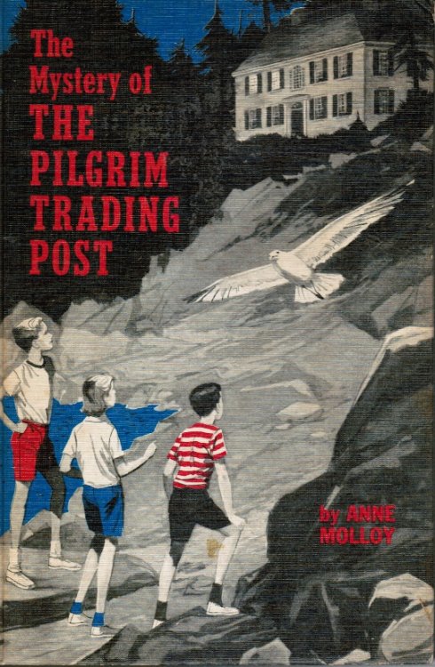Image for The Mystery of the Pilgrim Trading Post The Mystery of the Pilgrim Trading Post
