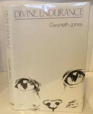 Image for Divine Endurance Divine Endurance