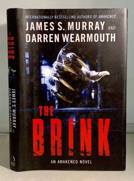 The Brink; An Awakened Novel