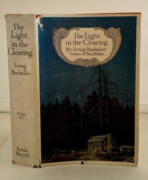 Image for The Light in the Clearing; A Tale of the North Country in the Time of Silas Wright The Light in the Clearing; A Tale of the North Country in the Time of Silas Wright