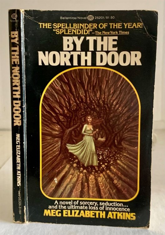 Image for By the North Door By the North Door