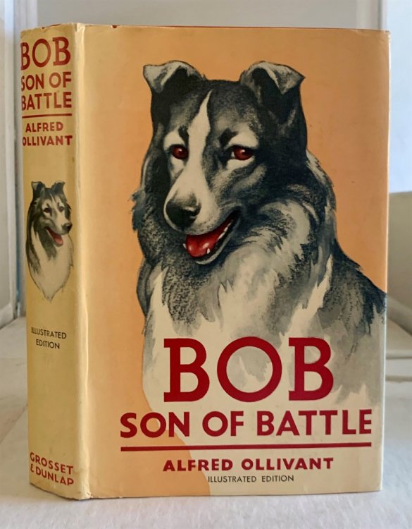 Image for Bob Son of Battle (Illustrated Edition) Bob Son of Battle (Illustrated Edition)