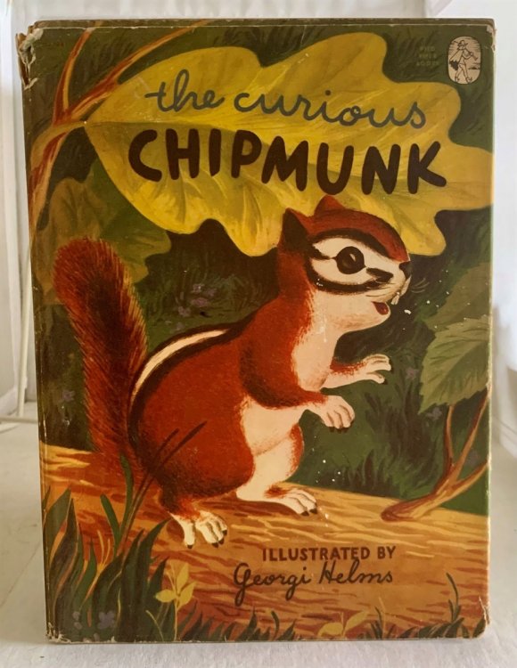 Image for The Curious Chipmunk The Curious Chipmunk