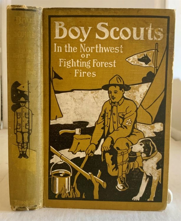 Boy Scouts In The Northwest; Or Fighting Forest Fires