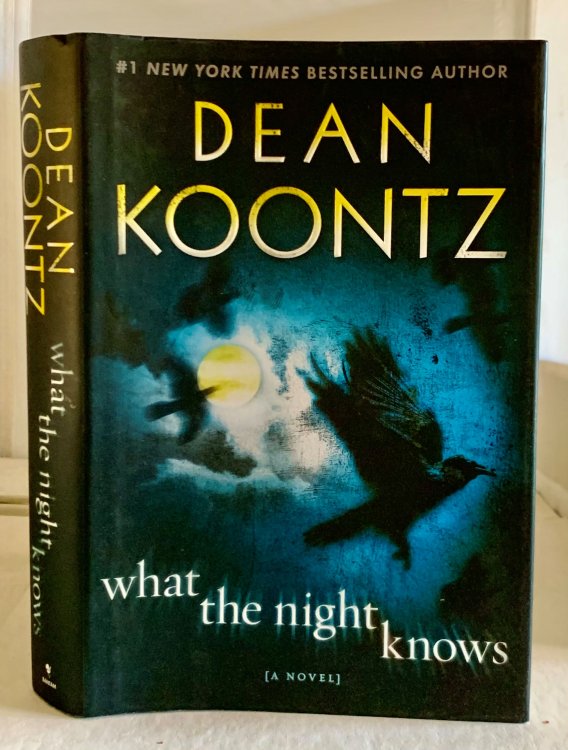 What the Night Knows A Novel