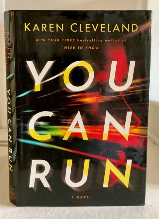 You Can Run A Novel