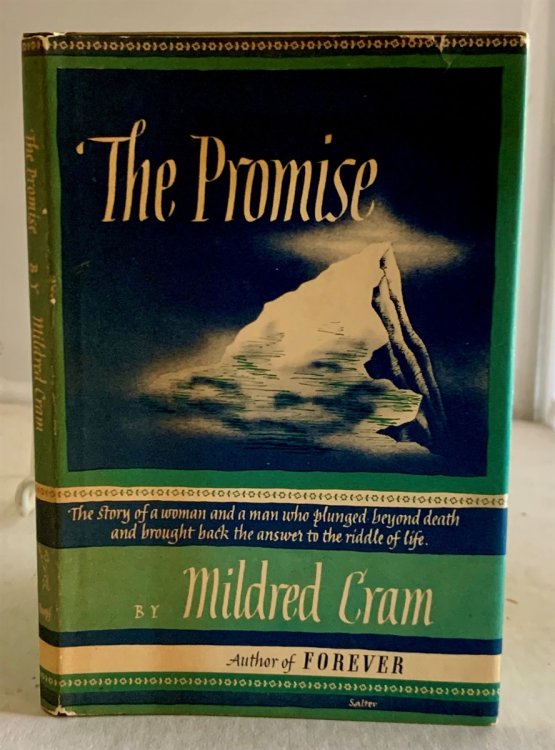 Image for The Promise The Promise