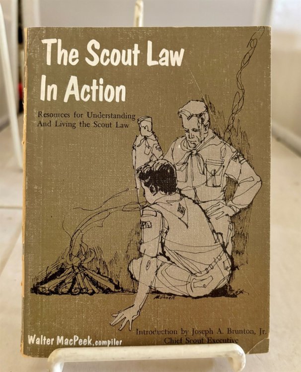 The Scout Law in Action