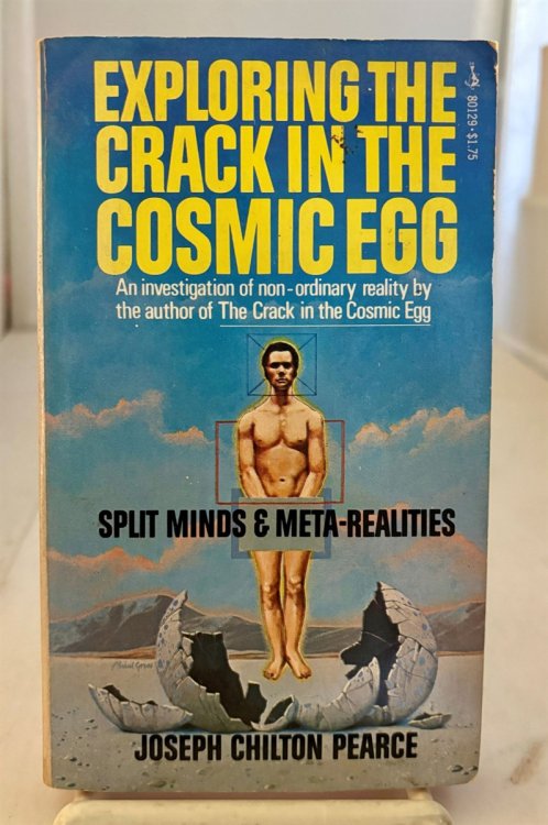 Image for Exploring the Crack in the Cosmic Egg Exploring the Crack in the Cosmic Egg