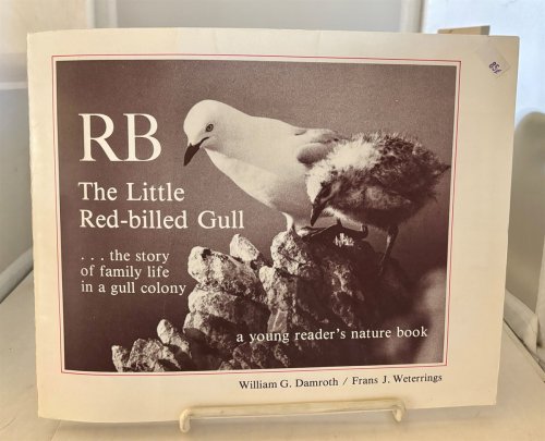 RB: the Little Red-Billed Gull; . .the Story of Family Life in a Gull Colony