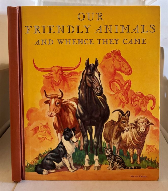 Our Friendly Animals; And Whence They Came
