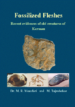 Fossilized Fleshes : Recent Evidences of Old Creatures of Kerman