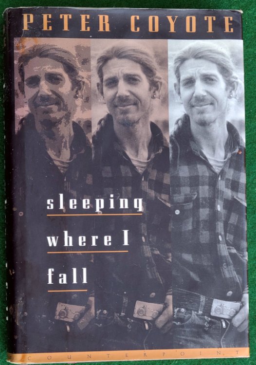 SLEEPING WHERE I FALL: A CHRONICLE