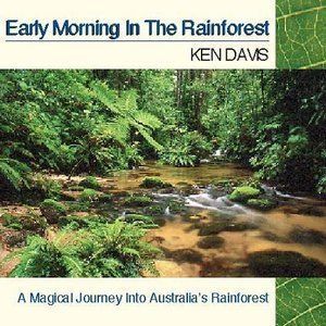 Early Morning In The Rainforest