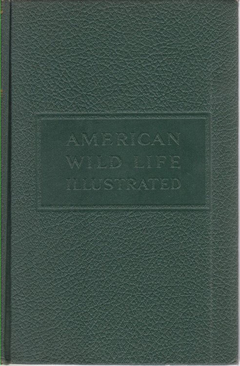 Image for AMERICAN WILD LIFE ILLUSTRATED AMERICAN WILD LIFE ILLUSTRATED