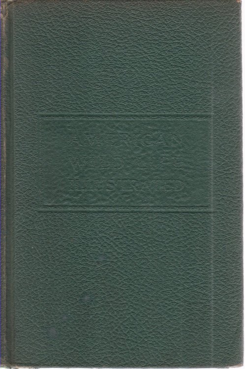 Image for AMERICAN WILD LIFE ILLUSTRATED AMERICAN WILD LIFE ILLUSTRATED
