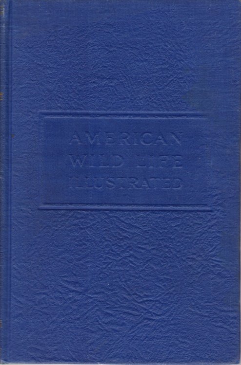 Image for AMERICAN WILD LIFE ILLUSTRATED AMERICAN WILD LIFE ILLUSTRATED