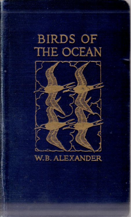 Image for BIRDS OF THE OCEAN; A Handbook for Voyagers BIRDS OF THE OCEAN; A Handbook for Voyagers