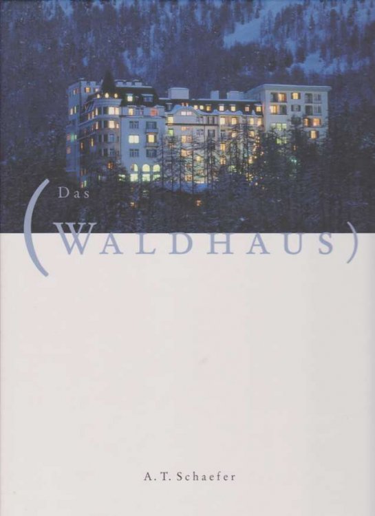 Image for DAS WALDHAUS; Sils-Maria, Insel Mit Brcken DAS WALDHAUS; Sils-Maria, Insel Mit Brcken