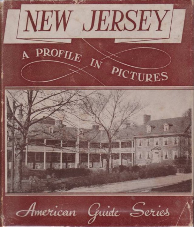 NEW JERSEY; A Profile in Pictures