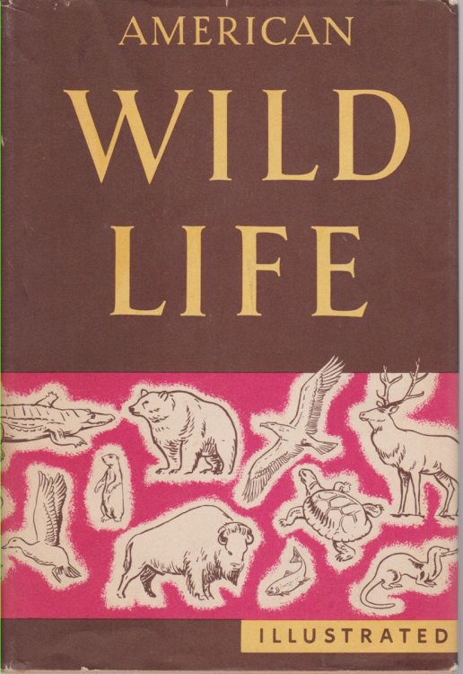 AMERICAN WILD LIFE ILLUSTRATED; Compiled by the Writers' Program of the Work Projects Administration in the City of New York