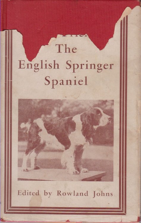 Image for OUR FRIEND THE ENGLISH SPRINGER OUR FRIEND THE ENGLISH SPRINGER
