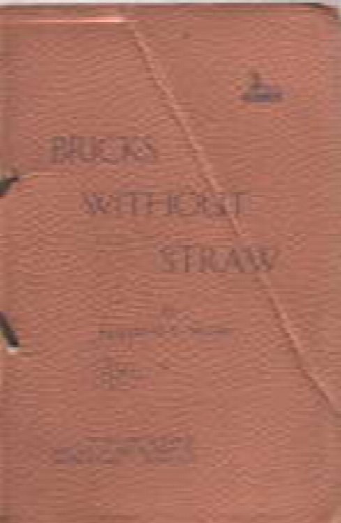 Image for Bricks Without Straw Bricks Without Straw