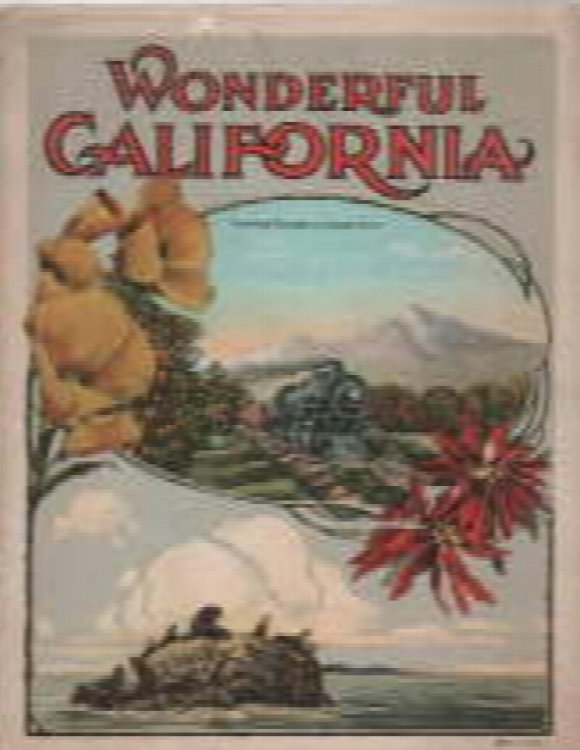 Image for Wonderful California Wonderful California