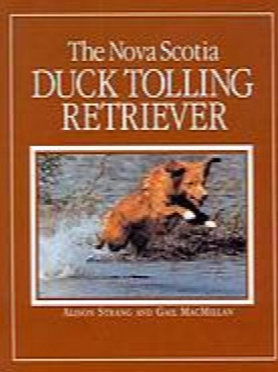 Image for The Nova Scotia Duck Tolling Retriever The Nova Scotia Duck Tolling Retriever