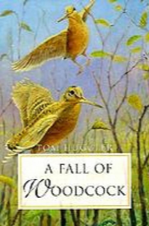 Image for A Fall of Woodcock A Fall of Woodcock