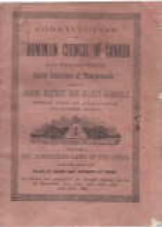 Image for Constitution of Constitution of