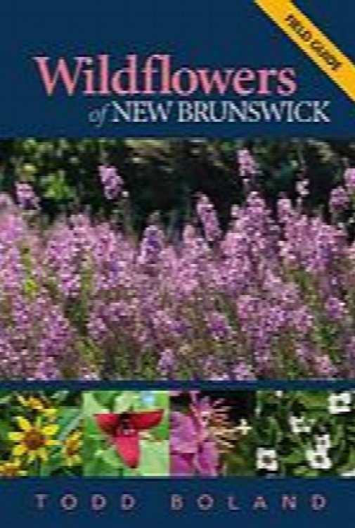 Image for Wildflowers of New Brunswick: Field Guide Wildflowers of New Brunswick: Field Guide