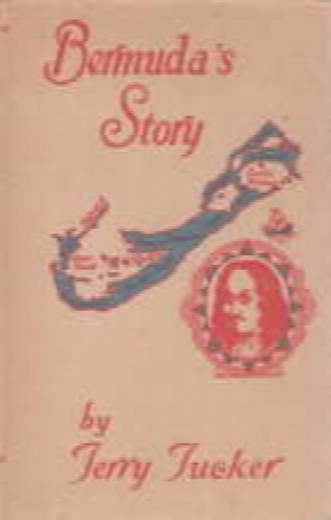 Image for BERMUDA'S STORY BERMUDA'S STORY